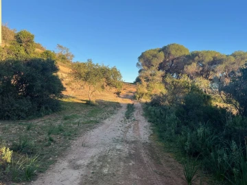 Terreno para Venda em Paderne