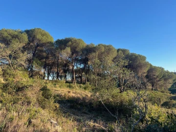 Terreno para Venda em Paderne