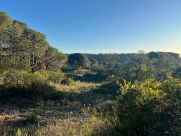 Terreno para Venda em Paderne