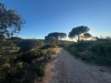 Terreno para Venda em Paderne