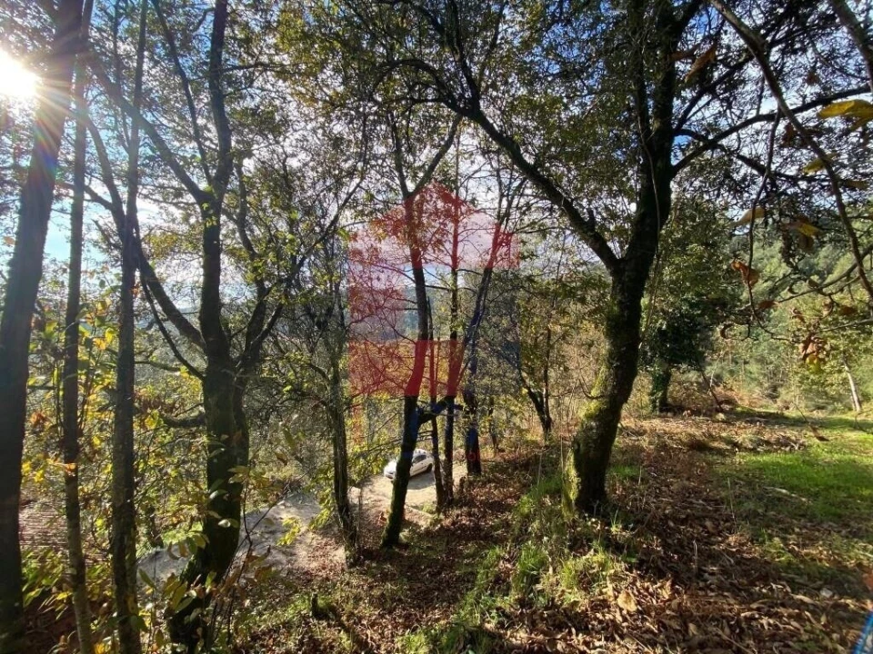 Moradia T2 para Venda em Vade Foto 23