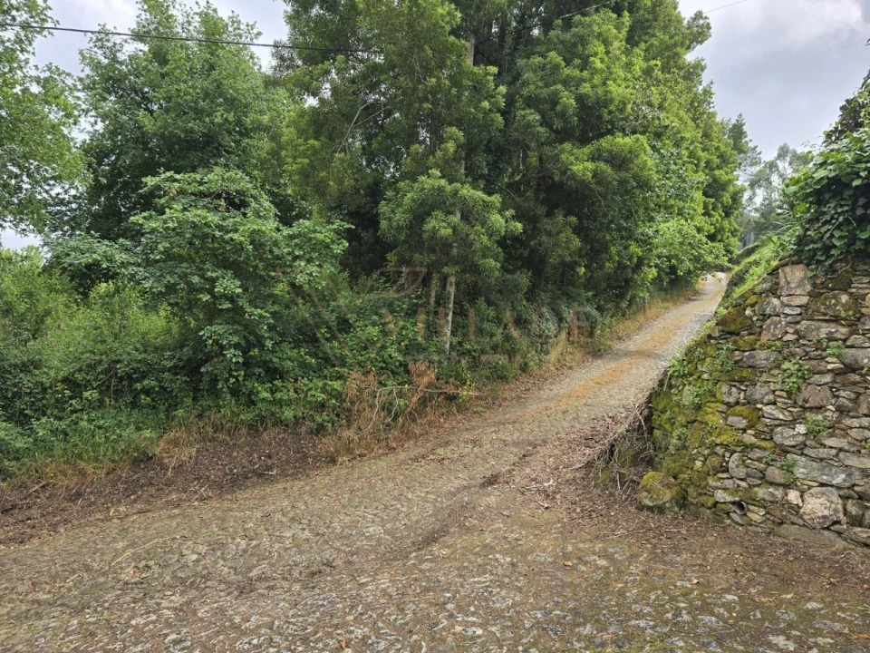 Terreno para Venda em Venade e Azevedo Foto 1