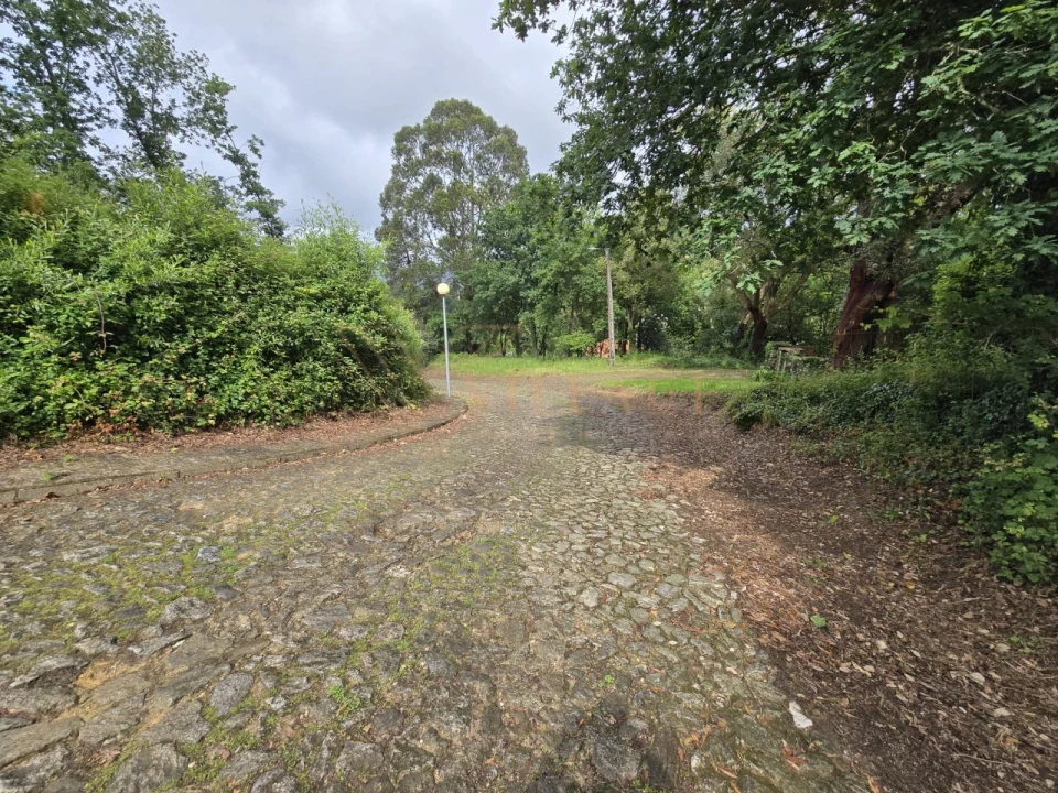 Terreno para Venda em Venade e Azevedo Foto 3
