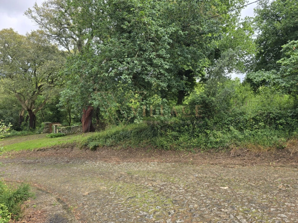 Terreno para Venda em Venade e Azevedo Foto 5