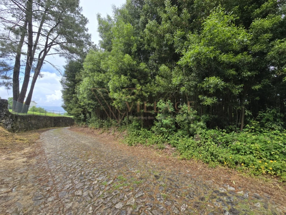 Terreno para Venda em Venade e Azevedo Foto 6