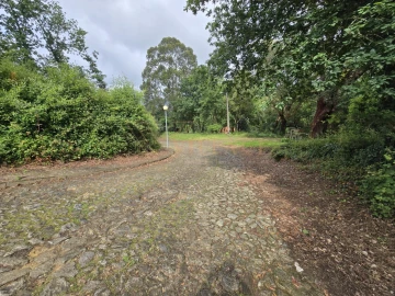 Terreno para Venda em Venade e Azevedo