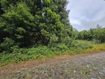 Terreno para Venda em Venade e Azevedo
