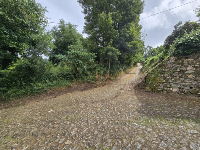 Terreno para Venda em Venade e Azevedo Foto 2