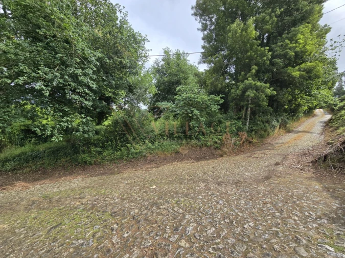 Terreno para Venda em Venade e Azevedo Foto 4