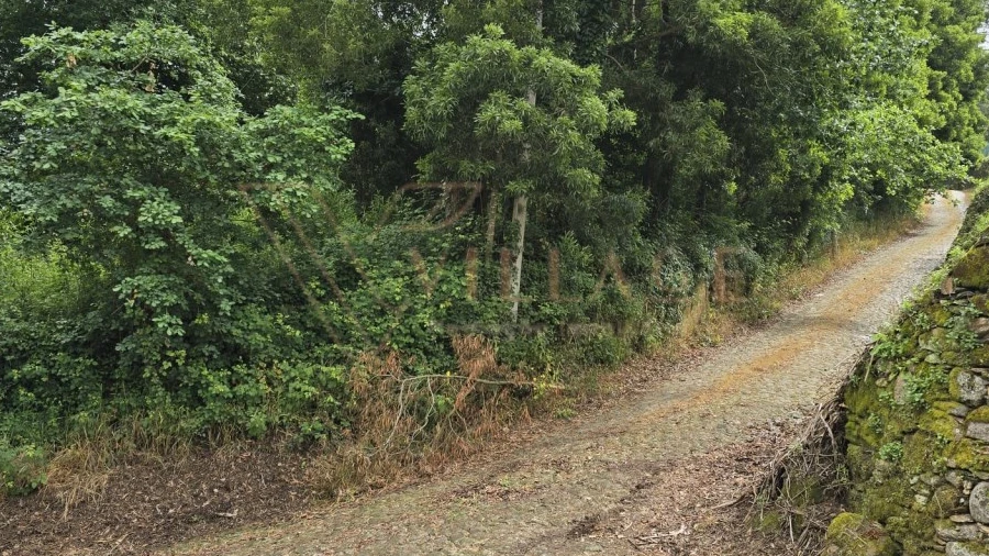 Terreno para Venda em Venade e Azevedo
