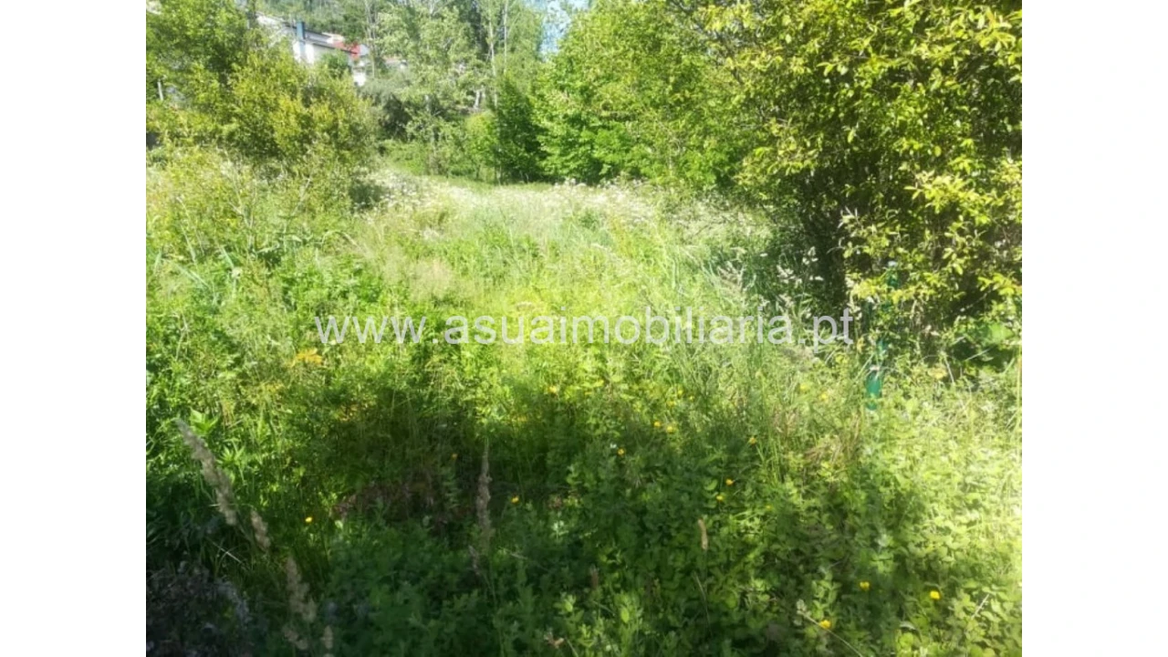 Terreno para Venda em Caldelas, Sequeiros e Paranhos Foto 3
