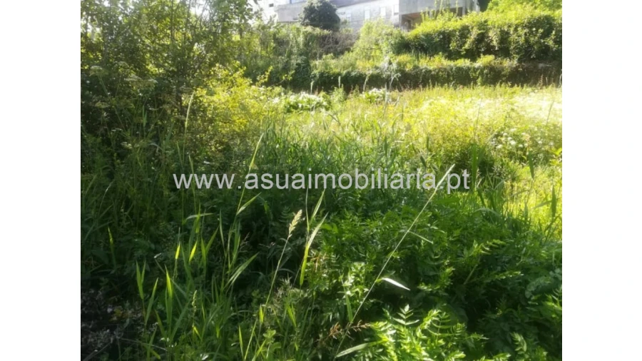 Terreno para Venda em Caldelas, Sequeiros e Paranhos