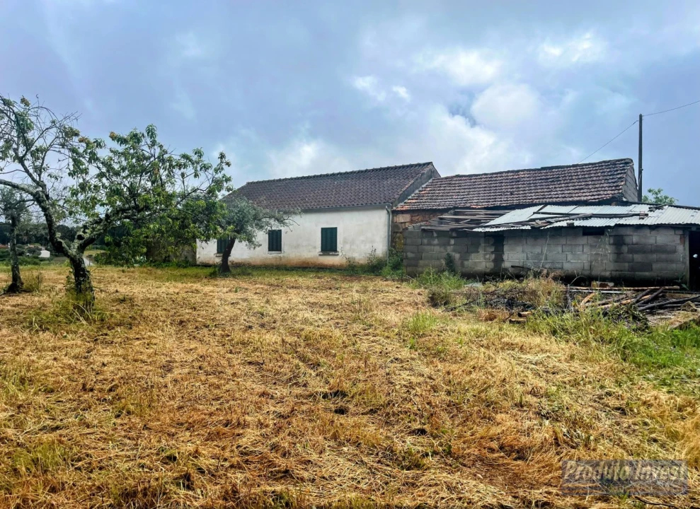Quinta T3 para Venda em Enxames Foto 1