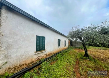 Quinta T3 para Venda em Enxames