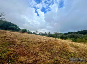 Quinta T3 para Venda em Enxames