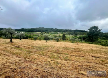 Quinta T3 para Venda em Enxames
