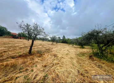 Quinta T3 para Venda em Enxames
