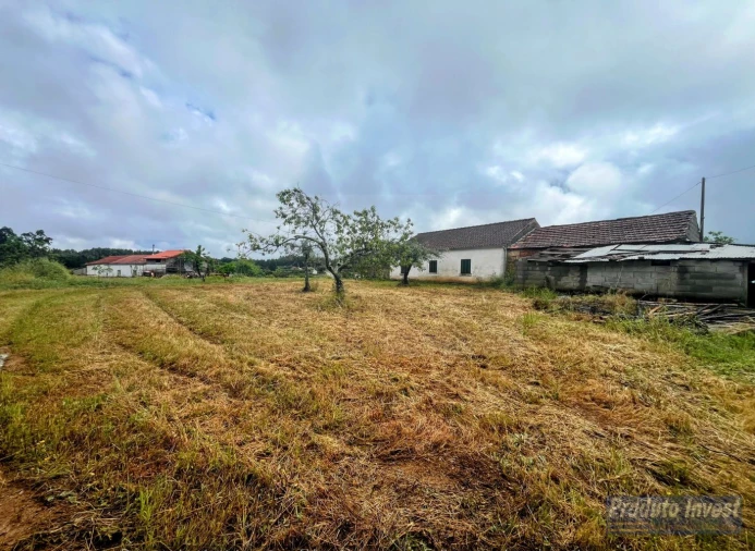 Quinta T3 para Venda em Enxames Foto 6