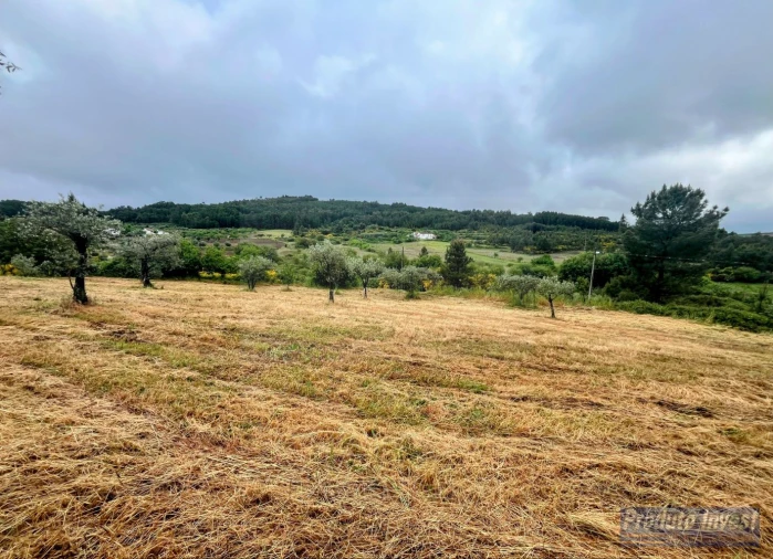 Quinta T3 para Venda em Enxames Foto 22
