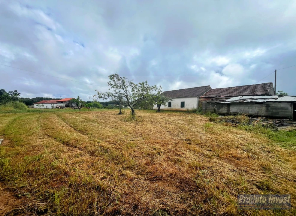 Quinta T3 para Venda em Enxames Foto 6