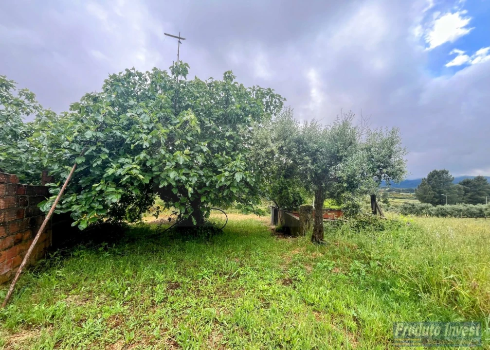 Quinta T3 para Venda em Enxames Foto 21