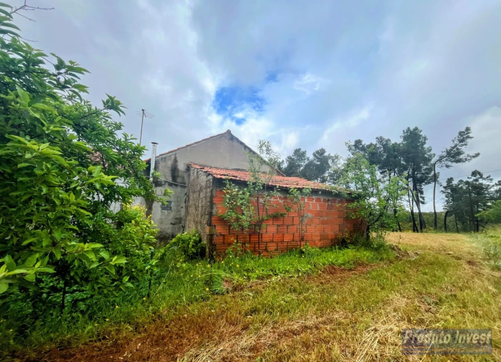 Quinta T3 para Venda em Enxames Foto 28