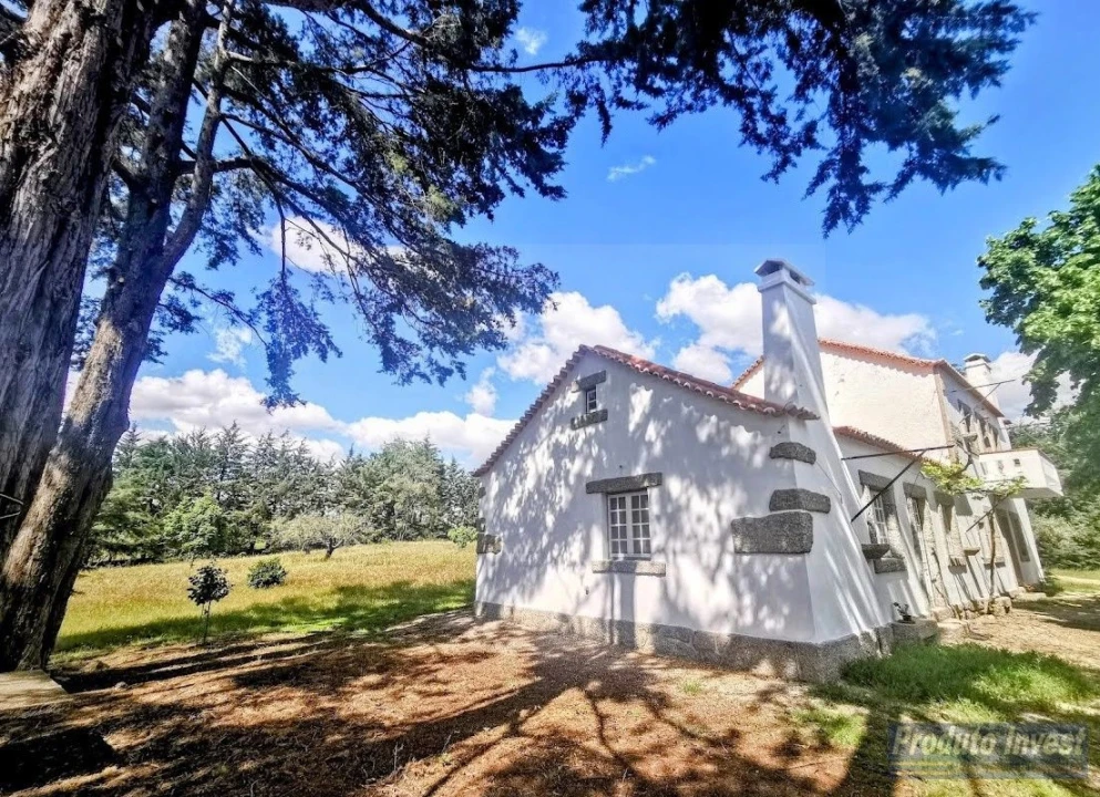Moradia T4 para Venda em Vale de Prazeres e Mata da Rainha Foto 16