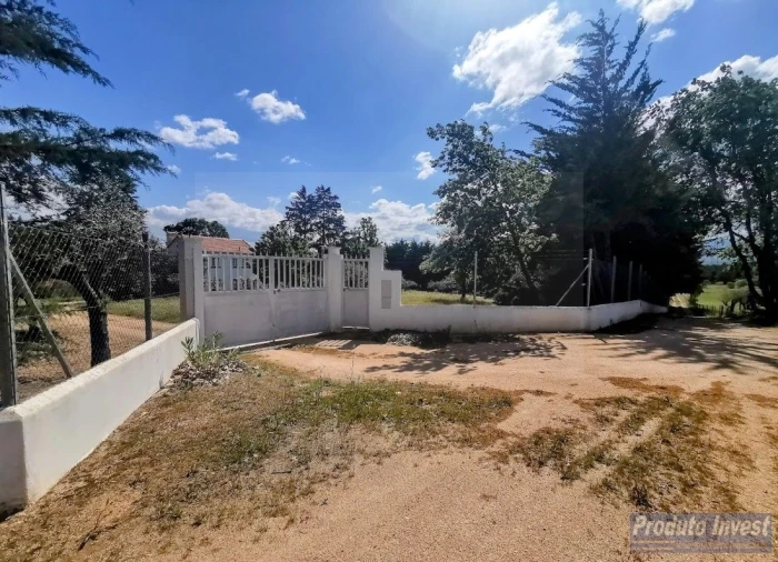 Moradia T4 para Venda em Vale de Prazeres e Mata da Rainha Foto 21