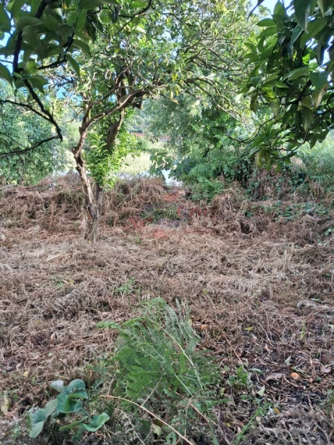 Moradia T3 para Venda em Semide e Rio Vide