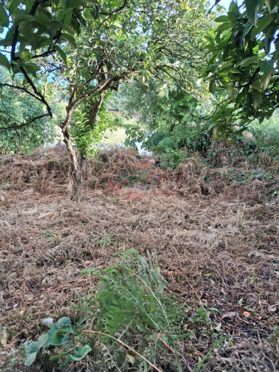 Moradia T3 para Venda em Semide e Rio Vide Foto 5