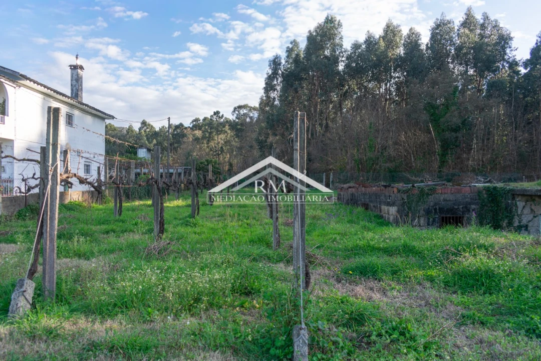 Terreno para Venda em Verdoejo Foto 12