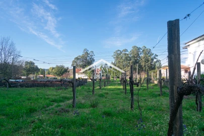 Terreno para Venda em Verdoejo