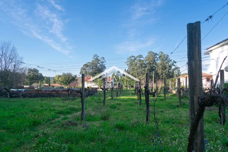 Terreno para Venda em Verdoejo Foto 11