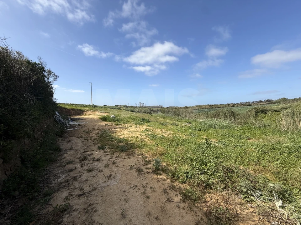 Terreno para Venda em Atouguia da Baleia Foto 5