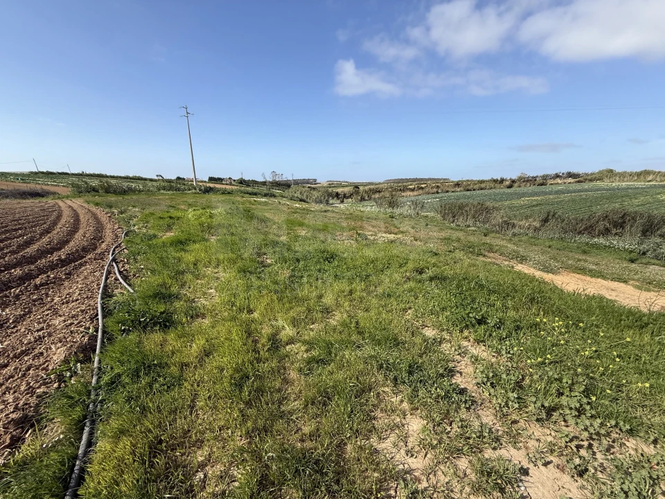 Terreno para Venda em Atouguia da Baleia Foto 4