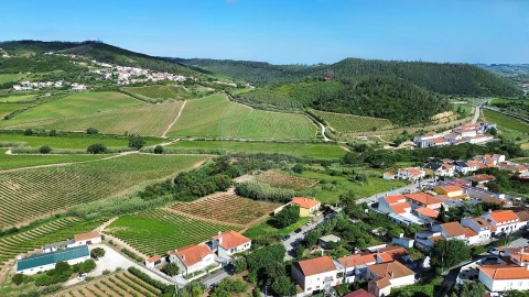 Terreno para Venda em Santa Maria, São Pedro e Matacães