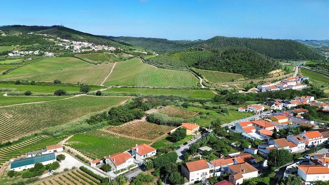 Terreno para Venda em Santa Maria, São Pedro e Matacães Foto 7