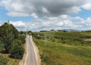 Terreno para Venda em Carnota