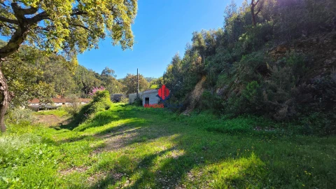Terreno Agricola ou Rústico para Venda em Marmelete