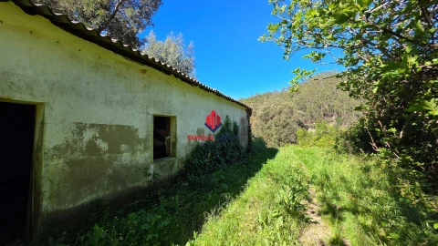 Terreno Agricola ou Rústico para Venda em Marmelete