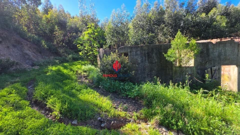 Terreno Agricola ou Rústico para Venda em Marmelete
