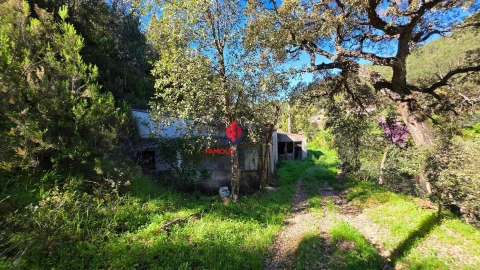 Terreno Agricola ou Rústico para Venda em Marmelete