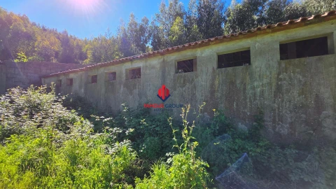 Terreno Agricola ou Rústico para Venda em Marmelete