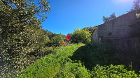 Terreno Agricola ou Rústico para Venda em Marmelete