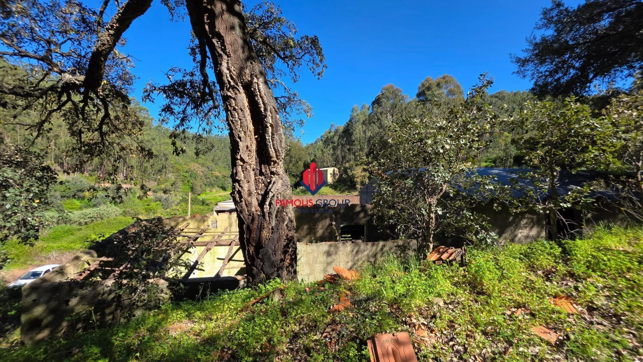 Terreno Agricola ou Rústico para Venda em Marmelete Foto 13