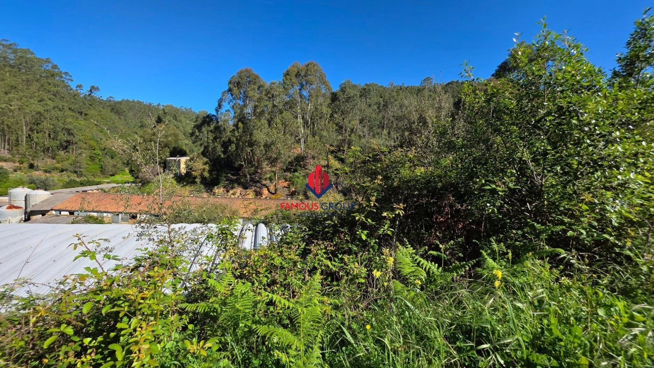 Terreno Agricola ou Rústico para Venda em Marmelete Foto 16