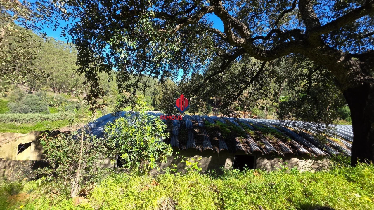 Terreno Agricola ou Rústico para Venda em Marmelete Foto 17