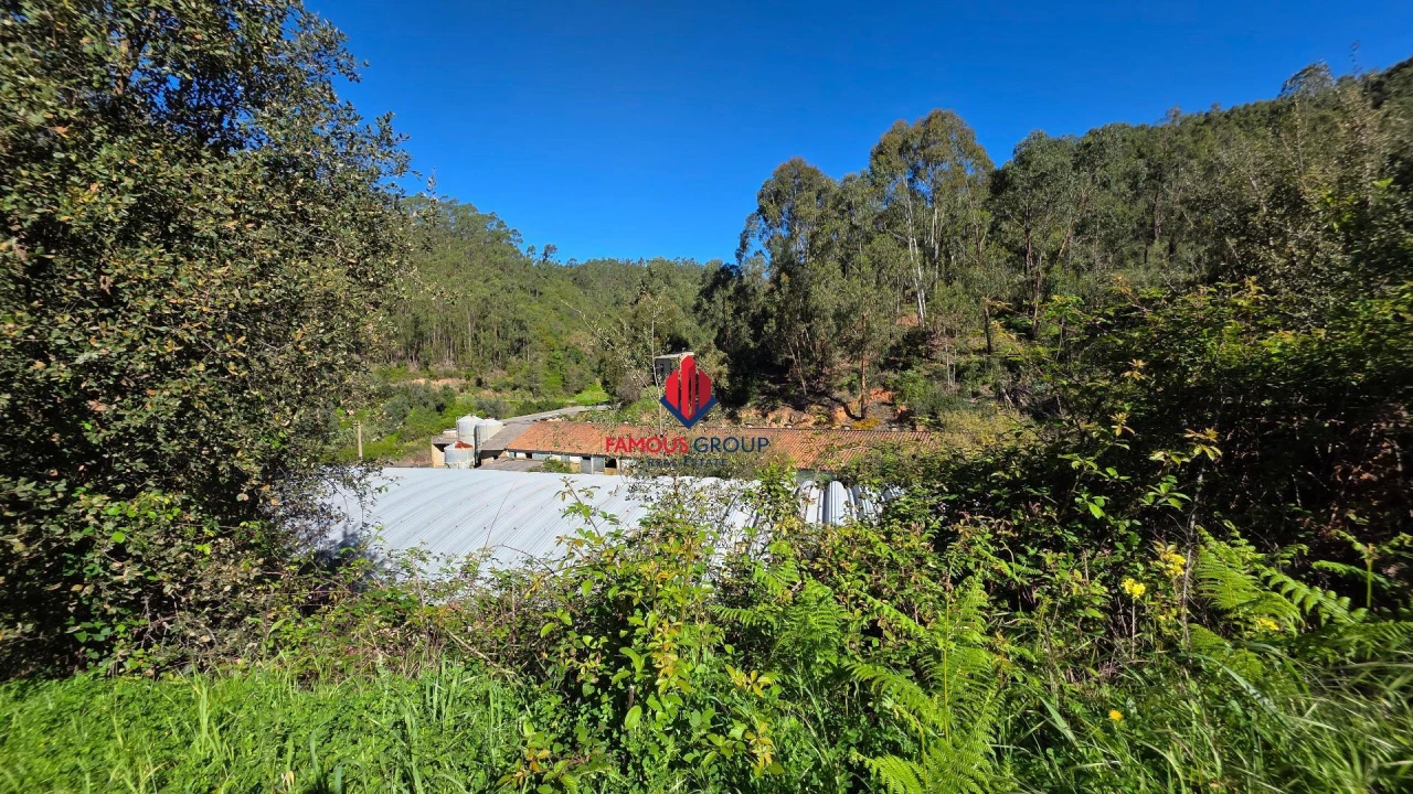 Terreno Agricola ou Rústico para Venda em Marmelete Foto 18