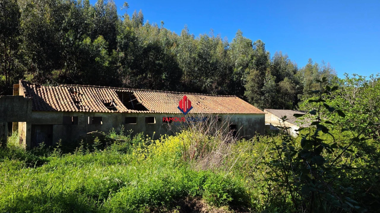 Terreno Agricola ou Rústico para Venda em Marmelete Foto 27