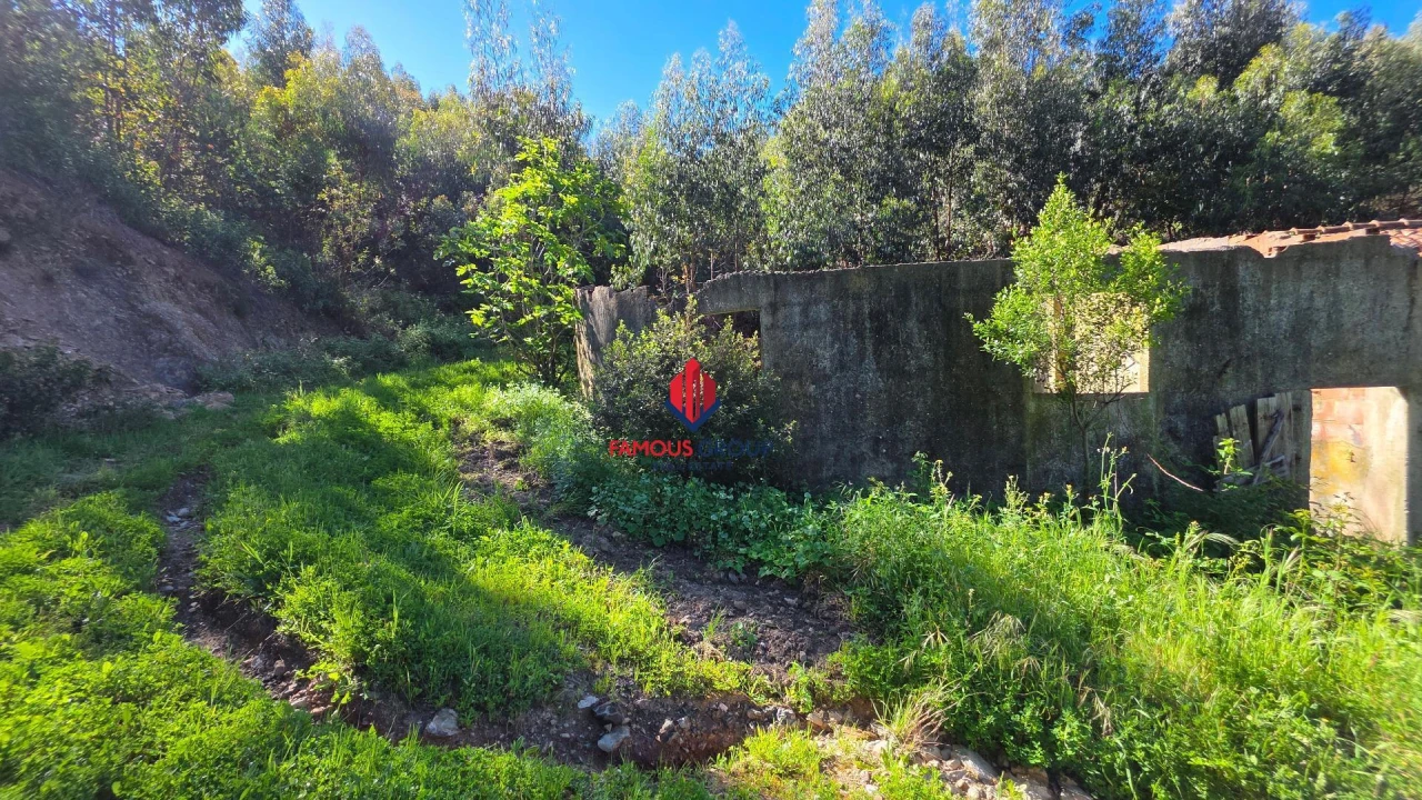Terreno Agricola ou Rústico para Venda em Marmelete Foto 30